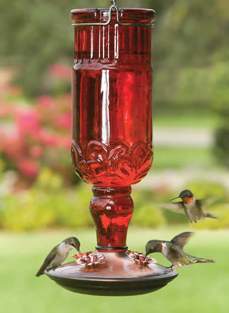Perky Pet Red Antique Glass Bottle Hummingbird Feeder