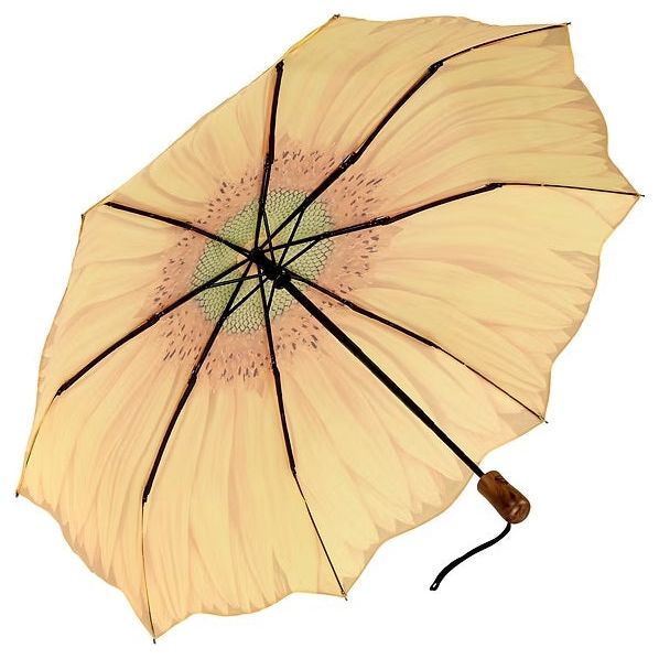 Umbrella Sunflower by Galleria