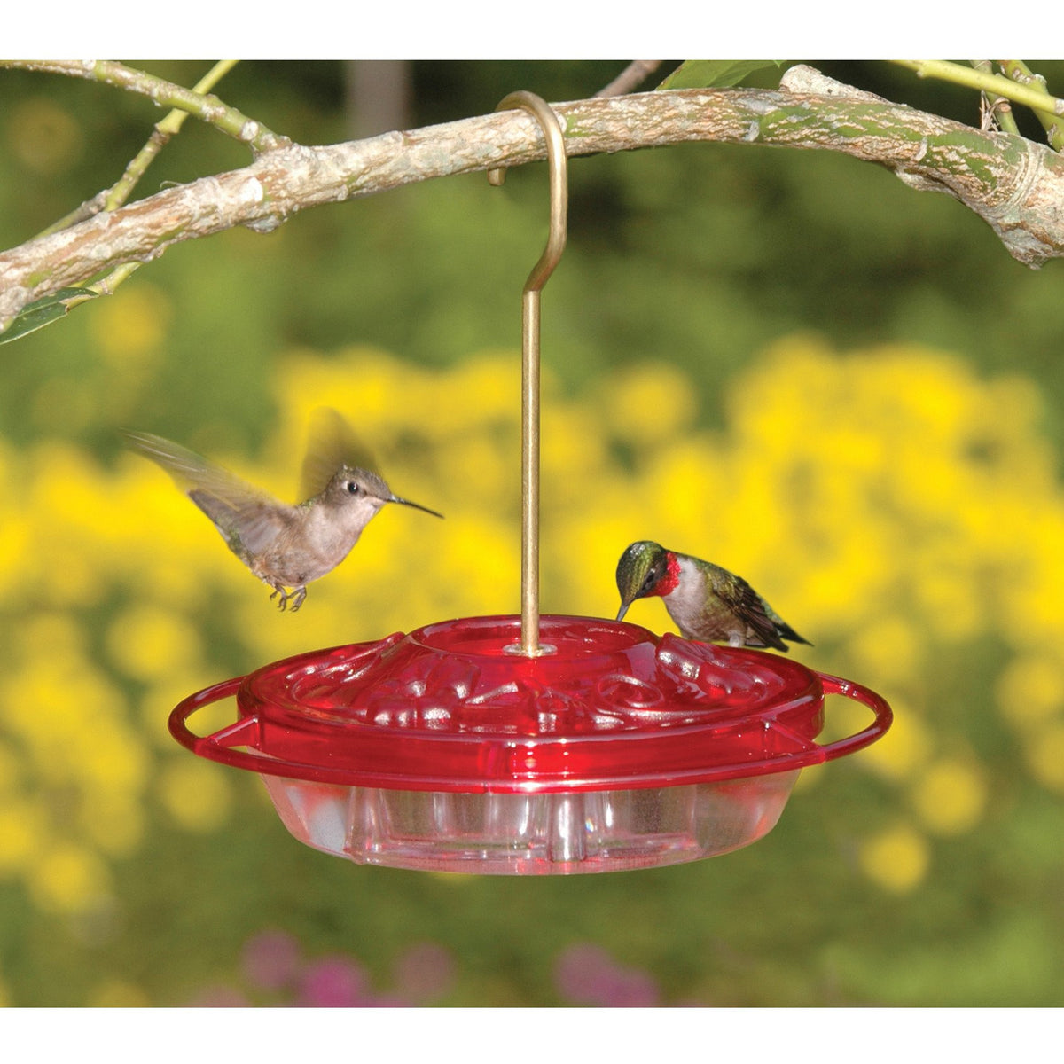 Aspects Mini Hummzinger Fancy Hummingbird Feeder