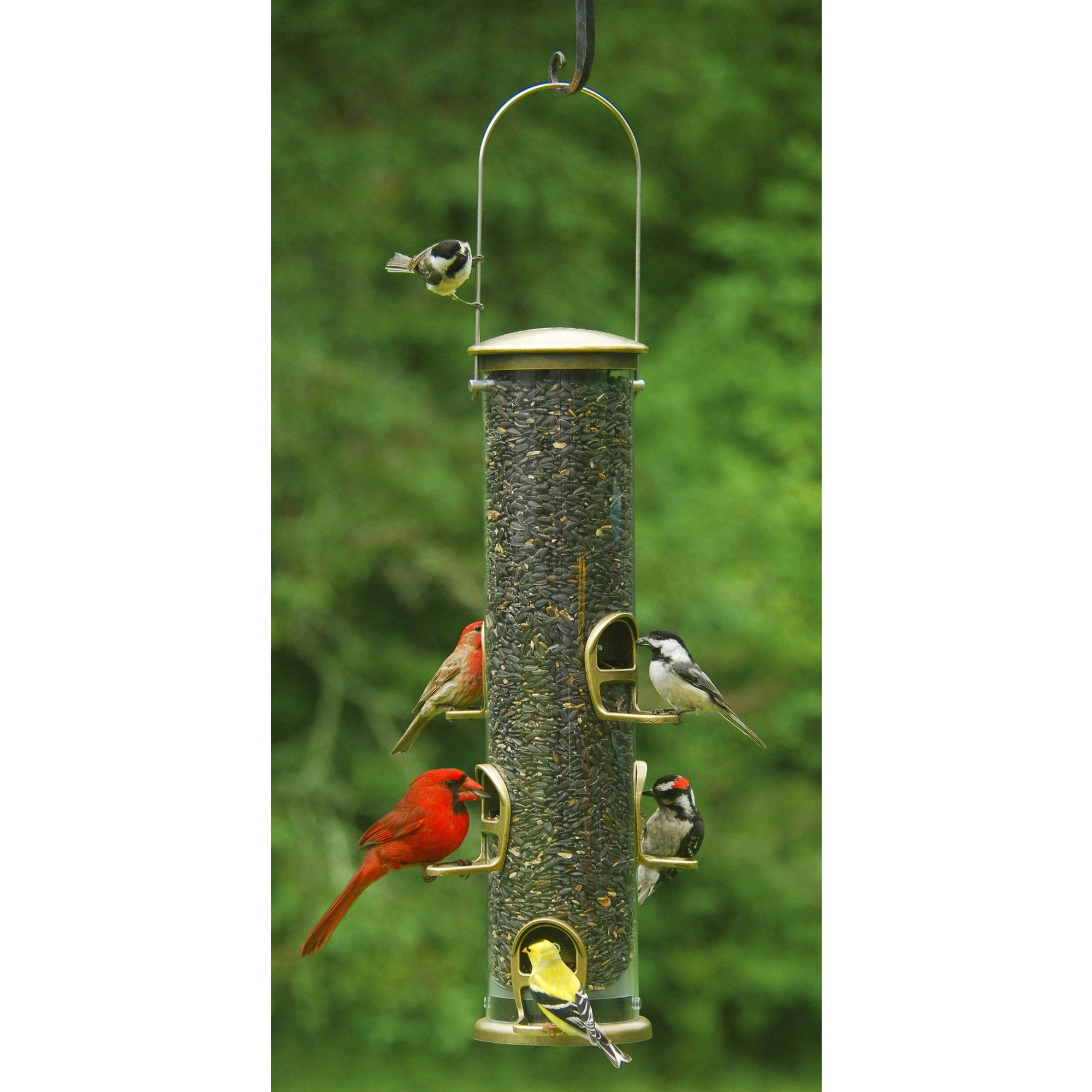 Aspects Big Tube Feeder