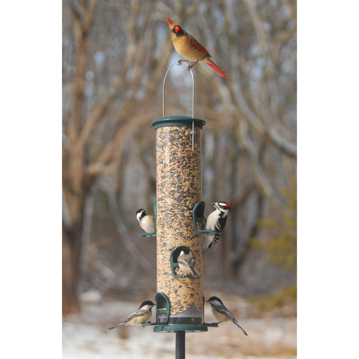 Aspects Big Tube Feeder