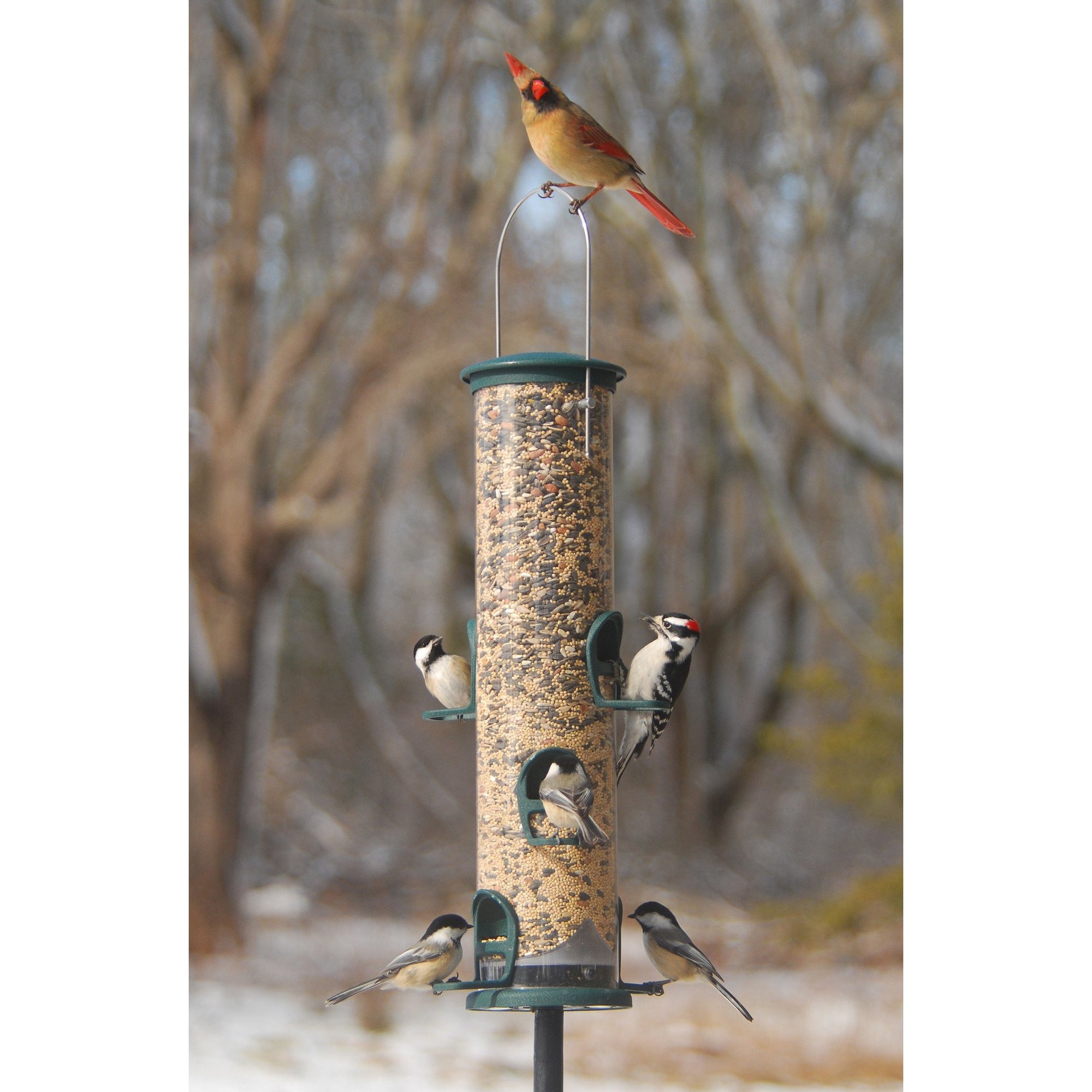 Aspects Big Tube Feeder