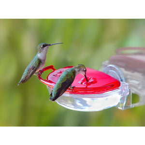 Aspects Gem Window Hummingbird Feeder