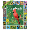 Audubon Songbirds Calendar 2020