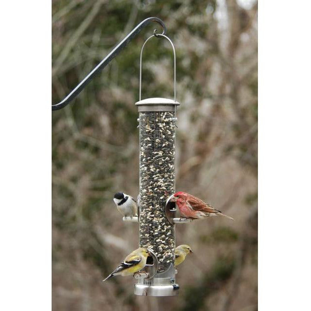 Buy Brushed brass hanging bird feeding dome