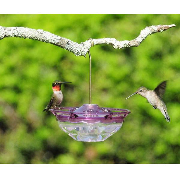 Aspects Humm Blossom Hummingbird Feeder