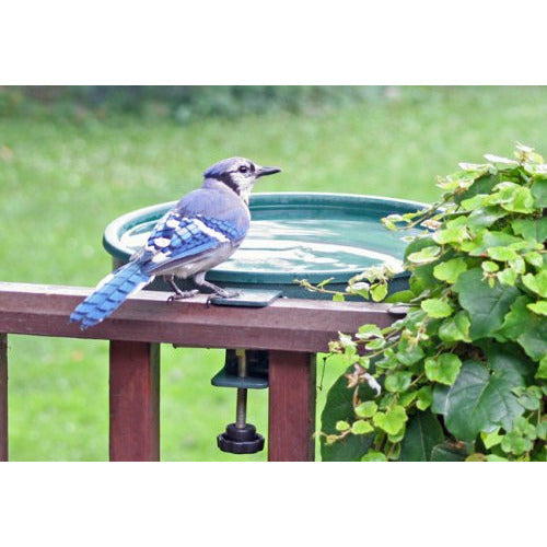 Erva Clamp-Mount Birdbath