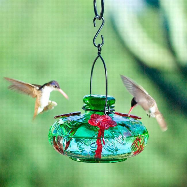 Parasol Bloom Calliope Hummingbird Feeder
