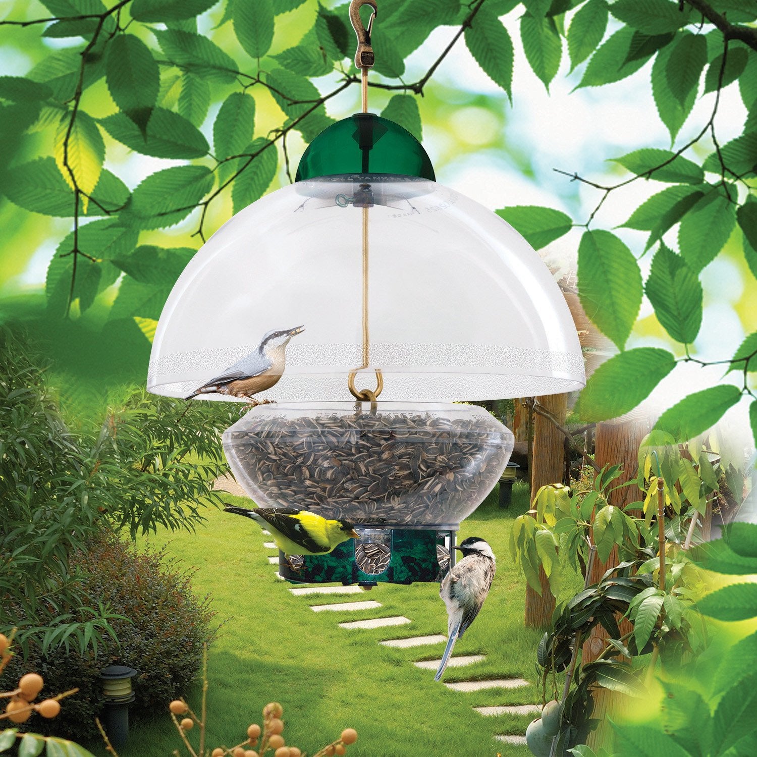 Droll Yankee Big Top Bird Feeder