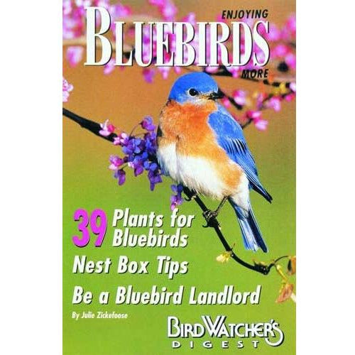 Enjoying Bluebirds More