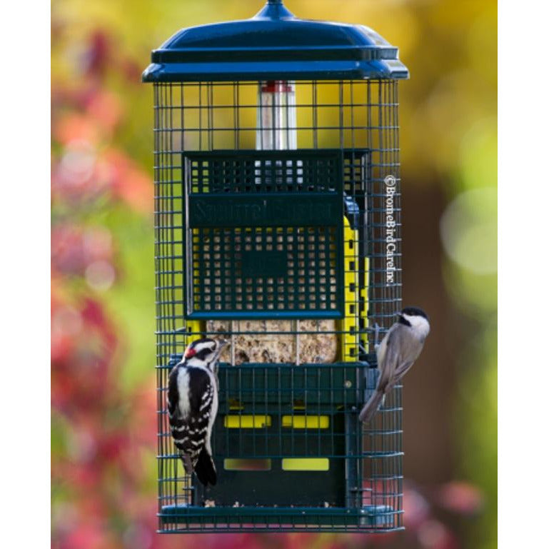 Brome Squirrel Buster Suet Feeder