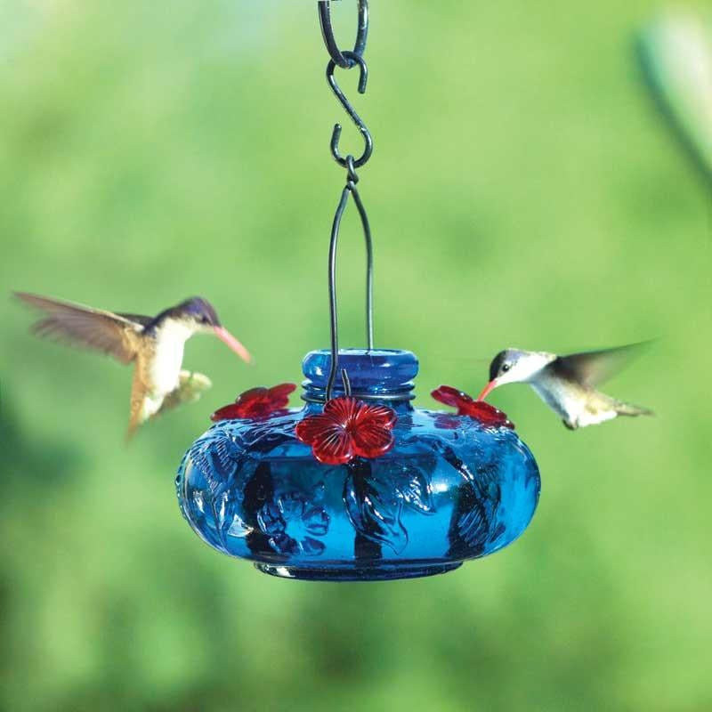 Parasol Bloom Calliope Hummingbird Feeder