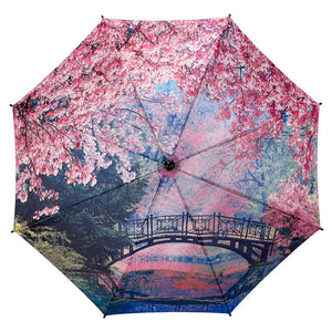 Umbrella Cherry Blossoms by Galleria