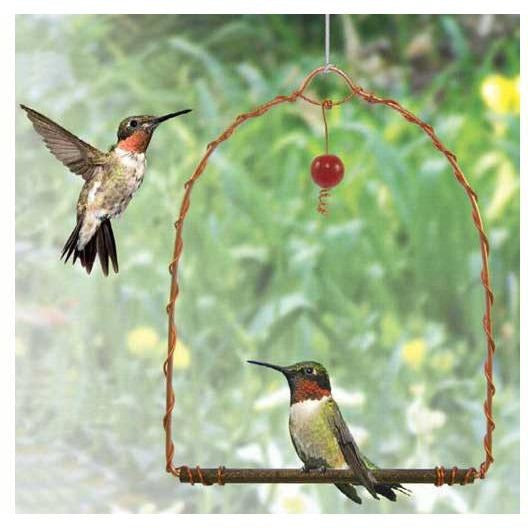 Copper Hummingbird Swing – Backyard Bird Centre