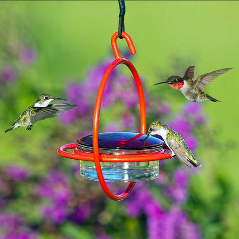 Image of Hanging Sphere Hummingbird Feeder with Perch