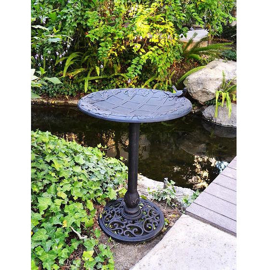 Innova English Ivy Bird Bath