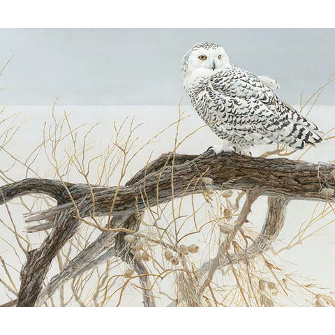 Fallen Willow Snowy Owl 500 Piece Puzzle