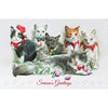 Pumpernickel Press Christmas Cards Festive Felines