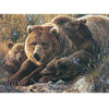 Grizzly Family-Family Pieces 350 Piece Puzzle