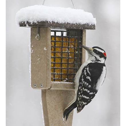 Birds Choice Medium Tail Prop Suet Feeder