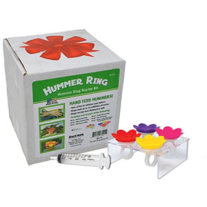 Hummer Ring Starting Kit for Hummingbirds