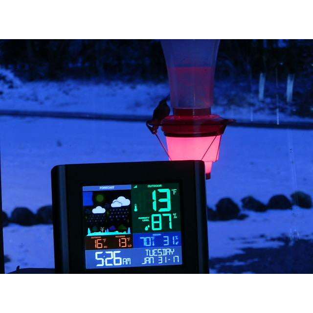 Hummer Hearth Hummingbird Feeder Heater (Feeder NOT included)