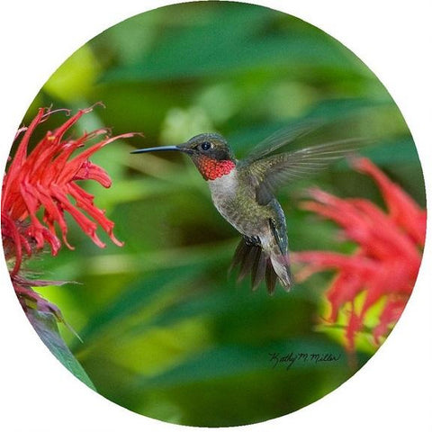Andreas Silicone Trivet - Hummingbird