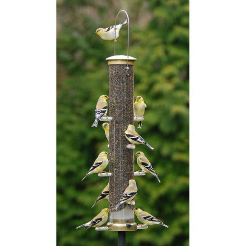 What is a Thistle Bird Feeder: Ultimate Guide to Attract Wild Birds