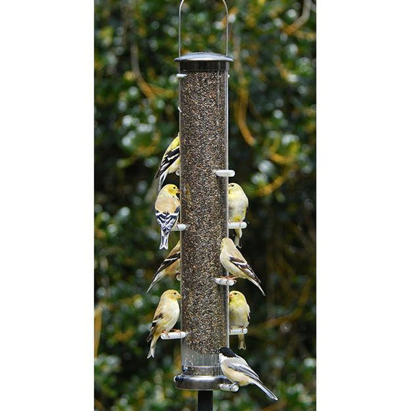 Aspects QuickClean Large Thistle Tube Feeder Backyard Bird Centre