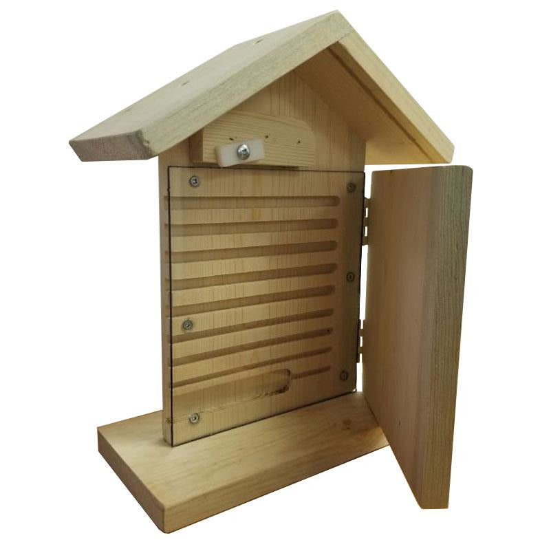 Mason Bee Viewing Home