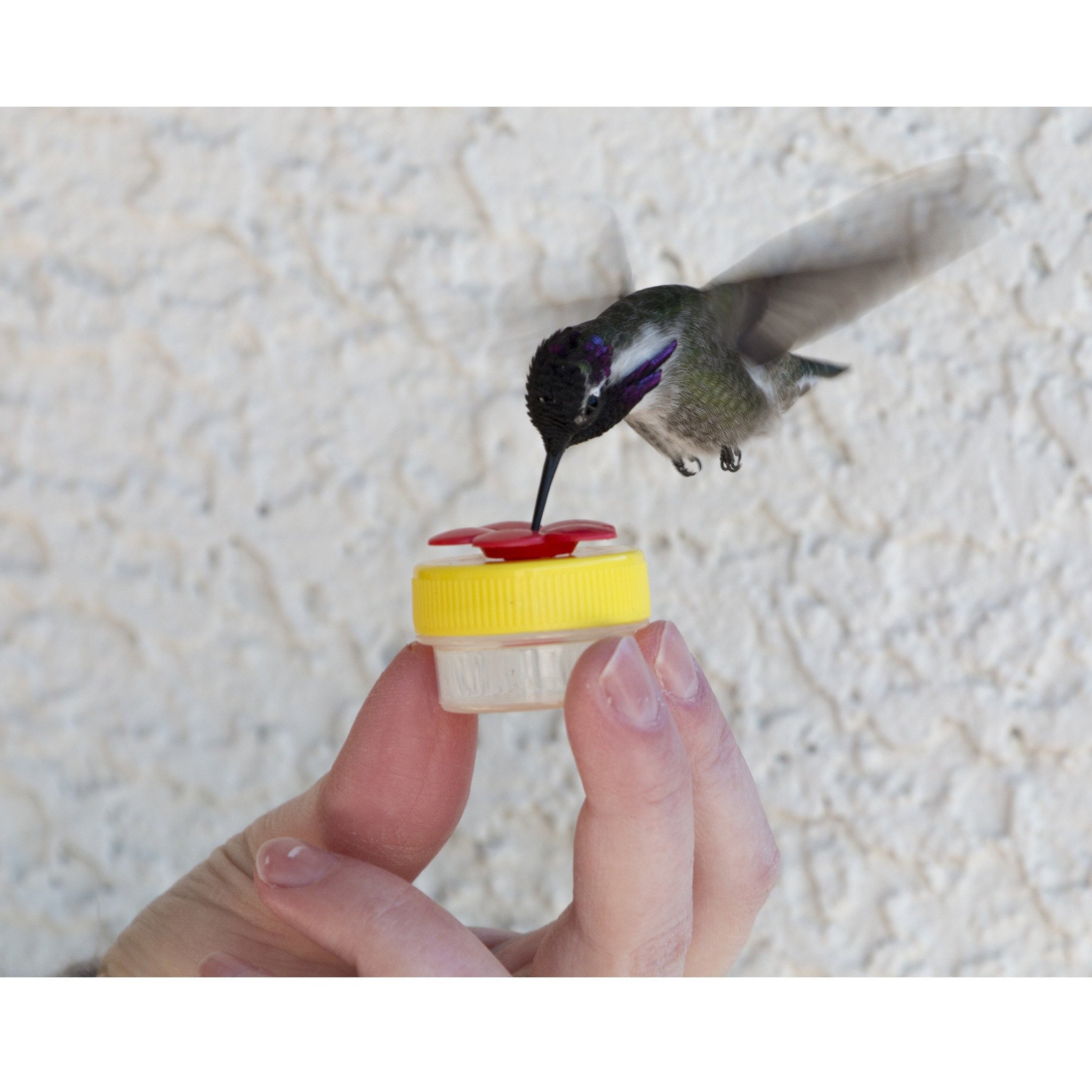  Hat Hummingbird Feeder, 2023 New Handheld Hummingbird