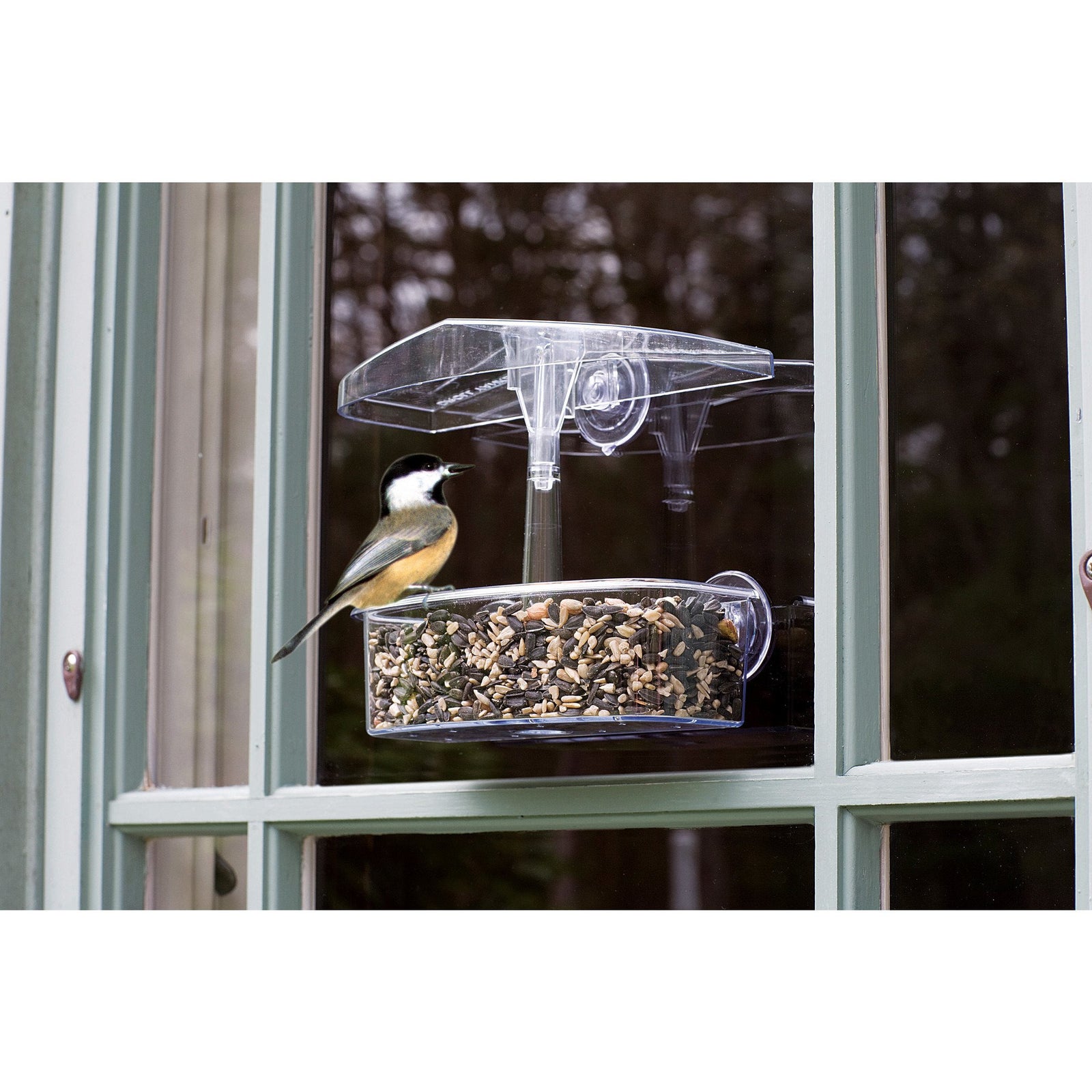 Droll Yankee Observer Window Feeder