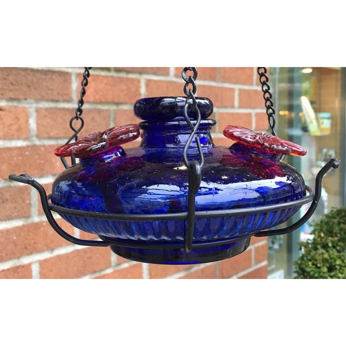 Parasol Bloom Perch Hummingbird Feeder