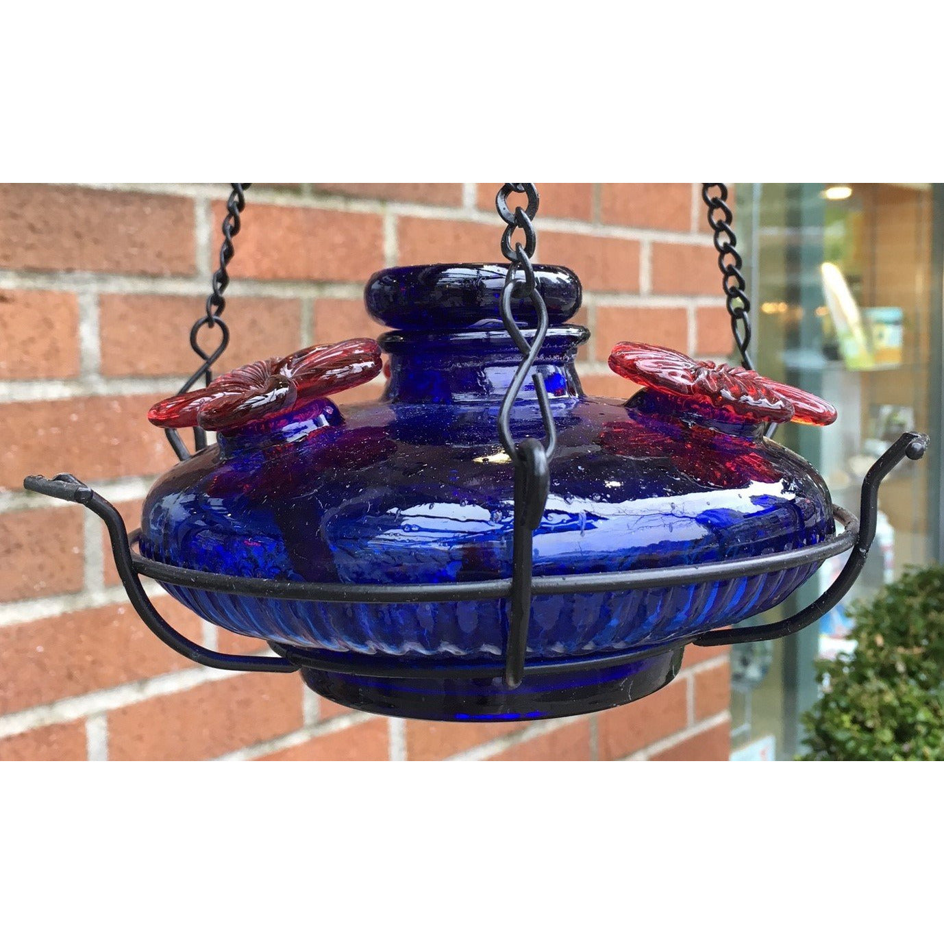 Parasol Bloom Perch Hummingbird Feeder