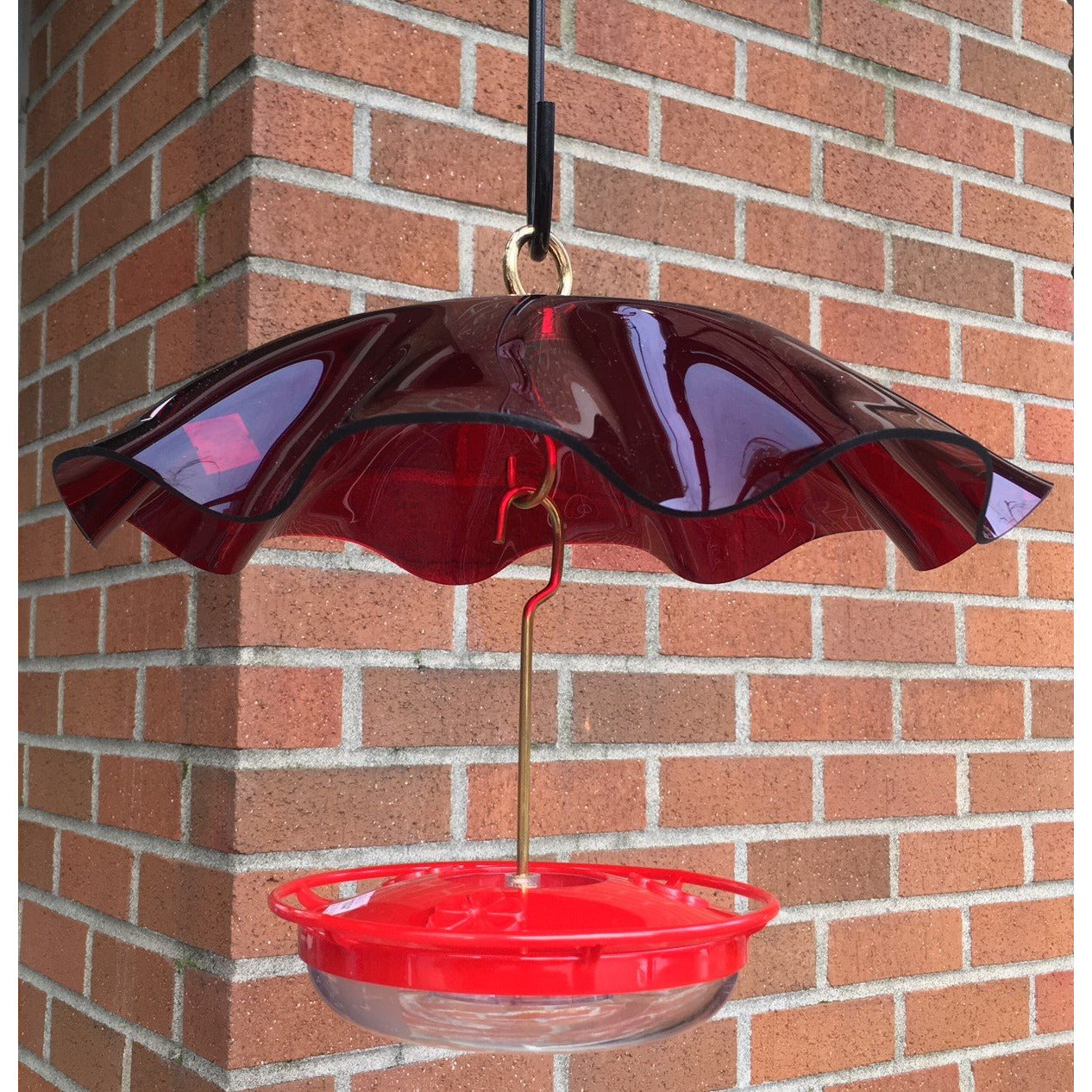 Bird Feeder Weatherguard