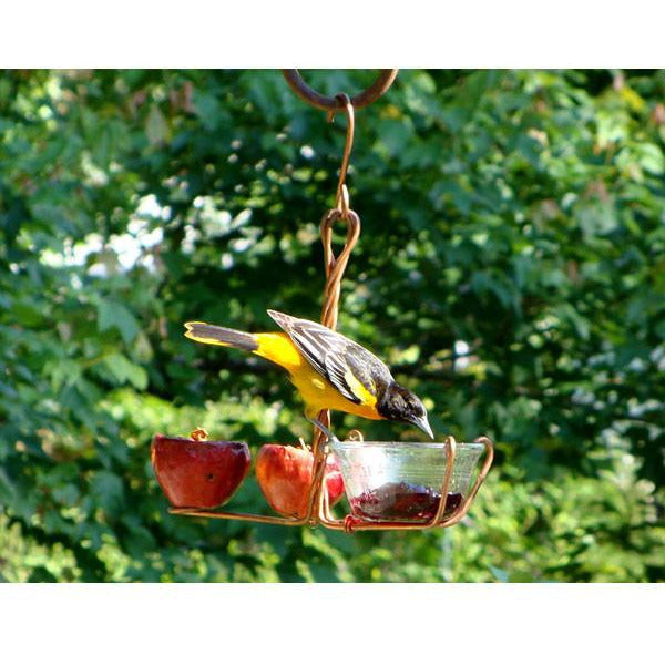 Fruit and Jelly Oriole Feeder