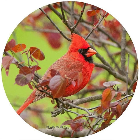 Andreas Silicone Trivet - Spring Cardinal