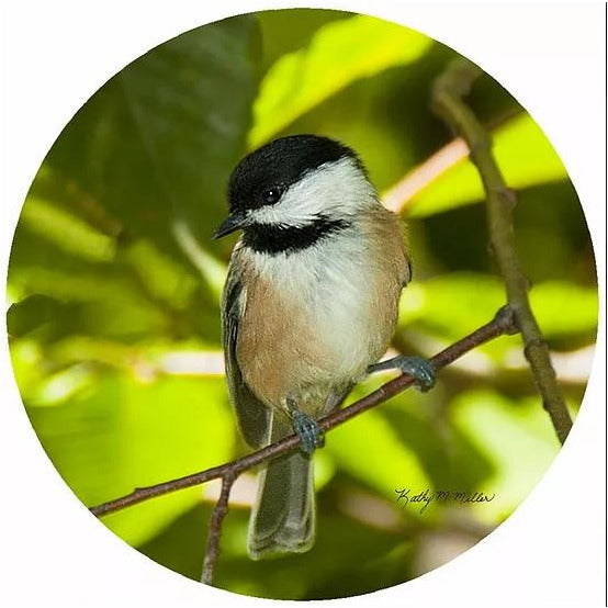 Andreas Silicone Trivet - Spring Chickadee