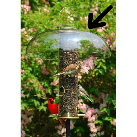 Aspects Super Tube Top