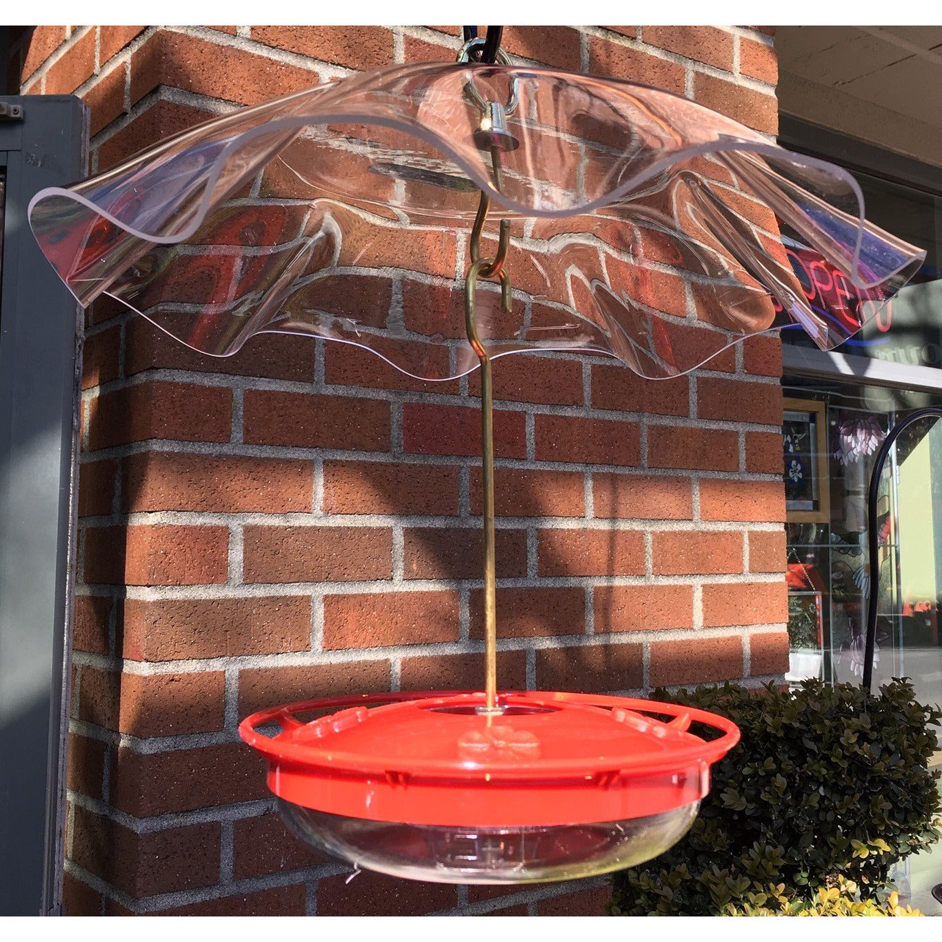 Bird Feeder Weatherguard