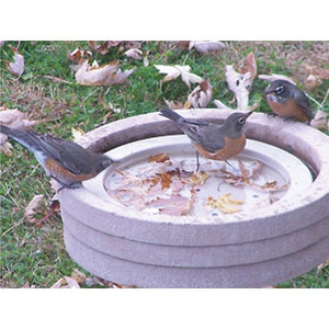 Bird Bath Raft