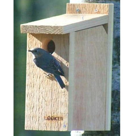 Bluebird View Thru House