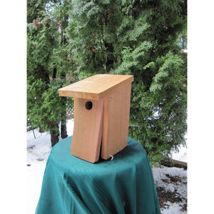 Chickadee Nest Box Kit from I Can Build It