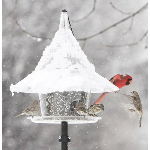 Sky Cafe Squirrel Proof Bird Feeder