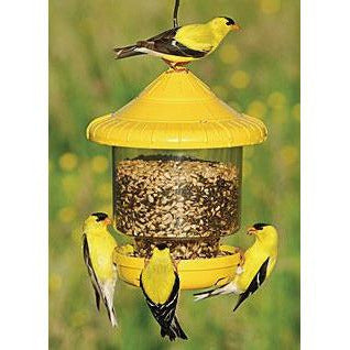 Clingers Only Bird Feeder