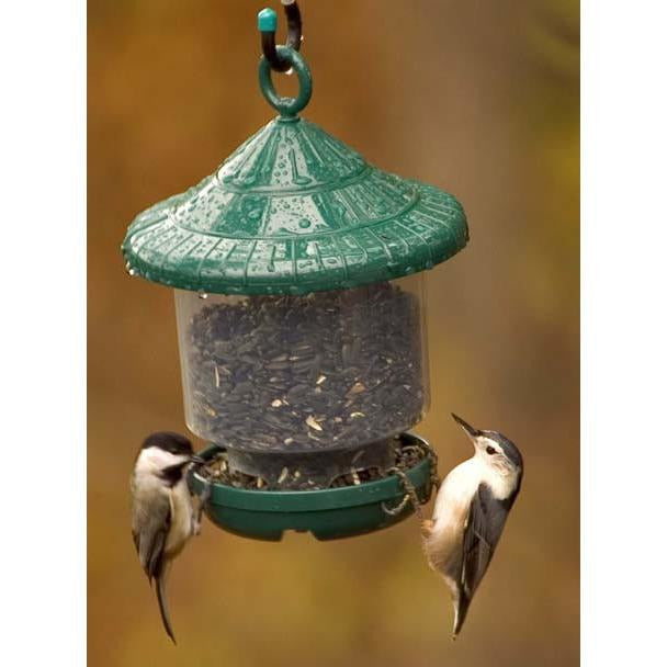 Clingers Only Bird Feeder