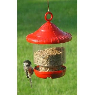 Clingers Only Bird Feeder