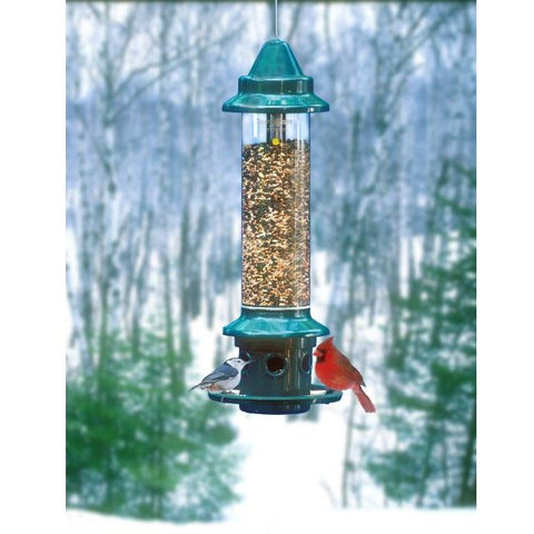 Image of Brome Squirrel Buster Plus Bird Feeder