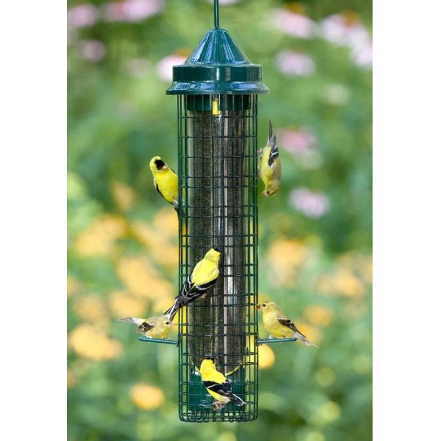 Squirrel Buster Finch Feeder