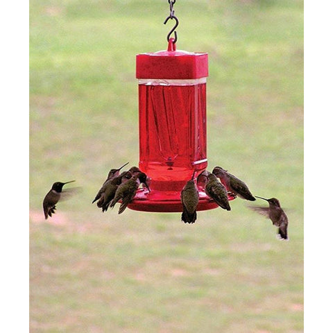 Image of First Nature Hummingbird Feeder
